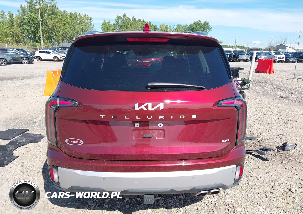 2024 Kia Telluride Sx VIN:5XYP5DGC2RG554901 - 17