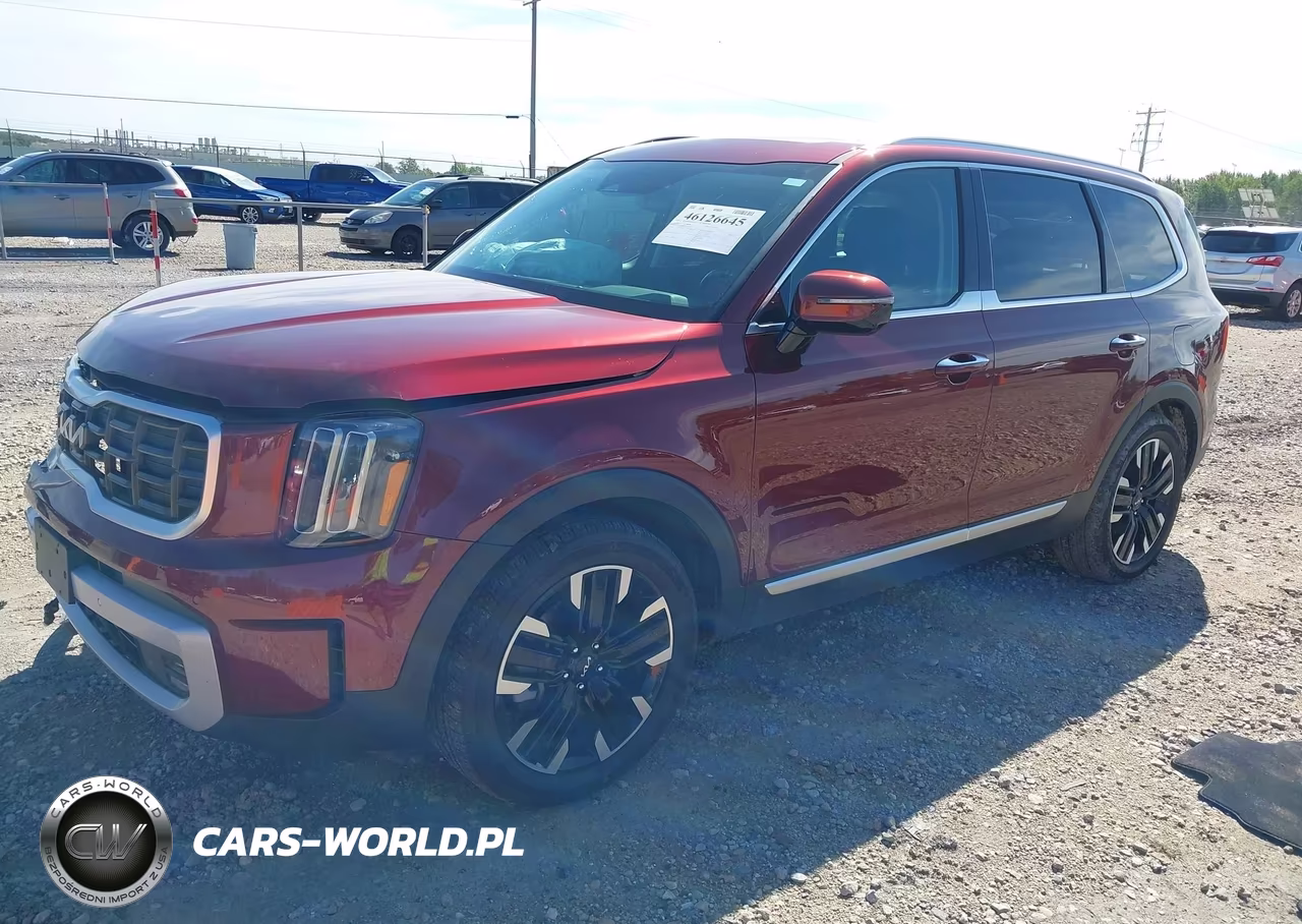 2024 Kia Telluride Sx VIN:5XYP5DGC2RG554901 - 2