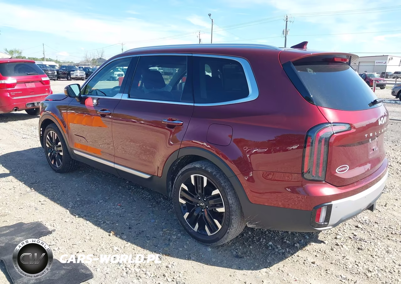 2024 Kia Telluride Sx VIN:5XYP5DGC2RG554901 - 3