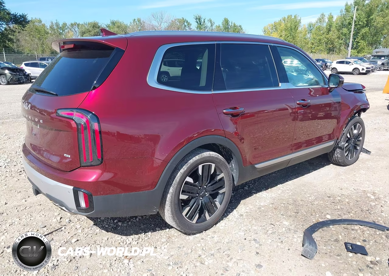 2024 Kia Telluride Sx VIN:5XYP5DGC2RG554901 - 4