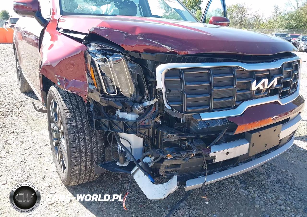 2024 Kia Telluride Sx VIN:5XYP5DGC2RG554901 - 6