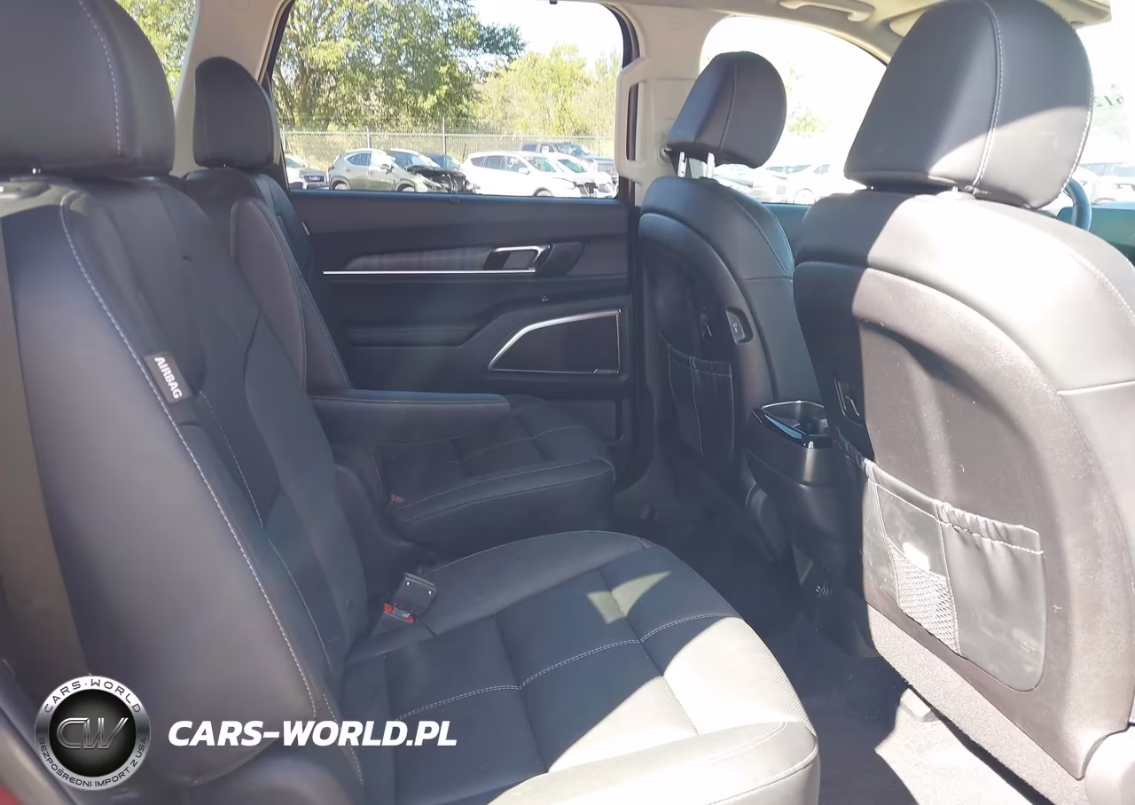 2024 Kia Telluride Sx VIN:5XYP5DGC2RG554901 - 8