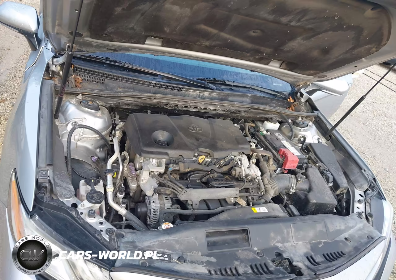 2019 Toyota Camry Xse VIN:4T1B61HK1KU170247 - 10