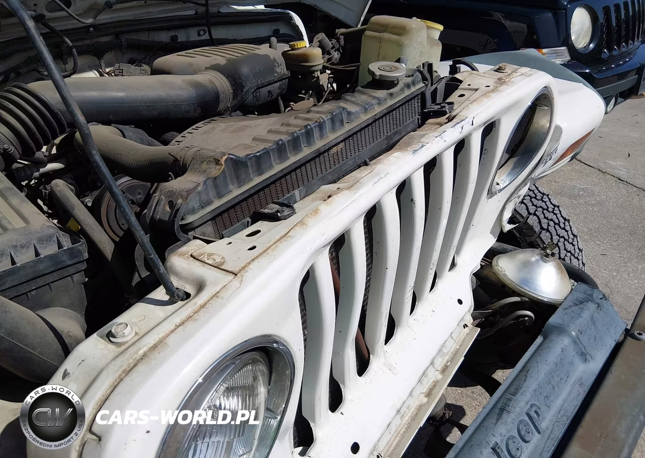 1998 Jeep Wrangler Se VIN:1J4FY29P1WP706533 - 14