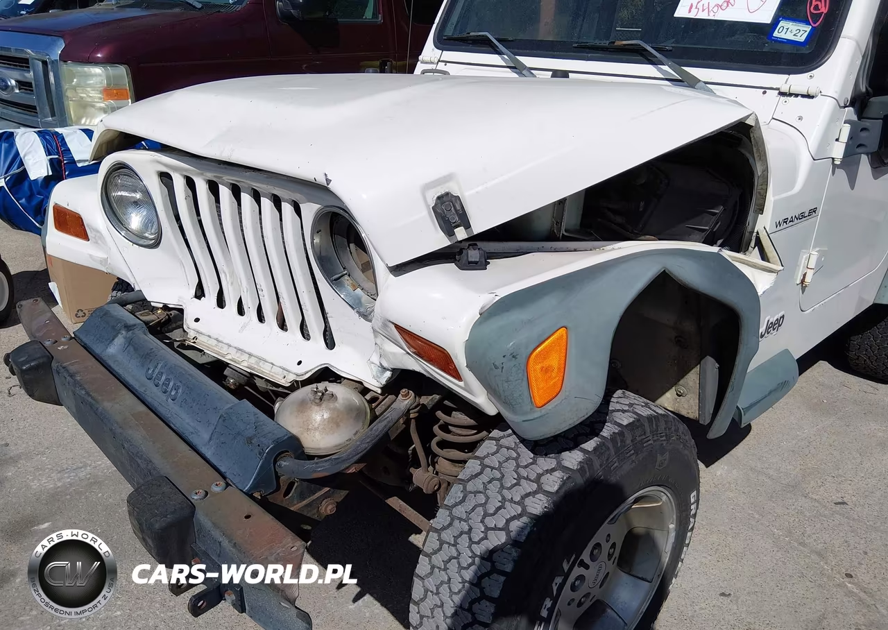 1998 Jeep Wrangler Se VIN:1J4FY29P1WP706533 - 6
