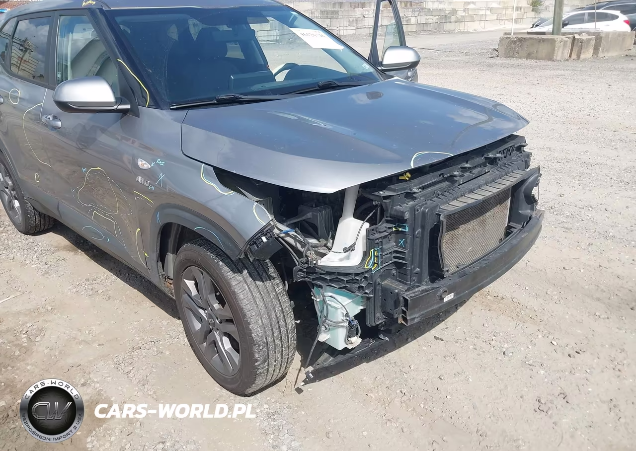 2021 Kia Seltos Lx VIN:KNDEPCAA2M7189290 - 19