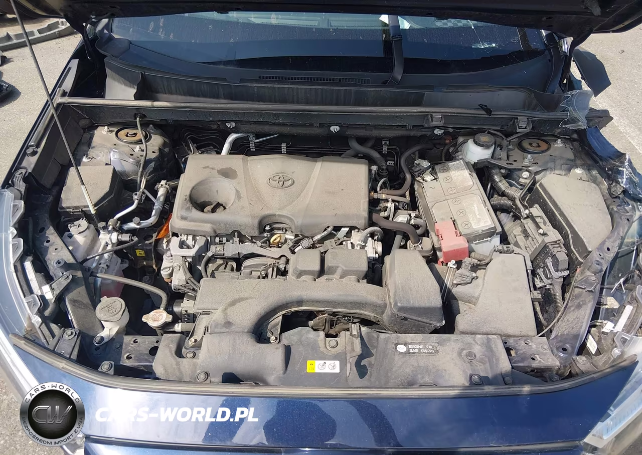 2023 Toyota Rav4 Xle VIN:2T3P1RFV4PW386186 - 10