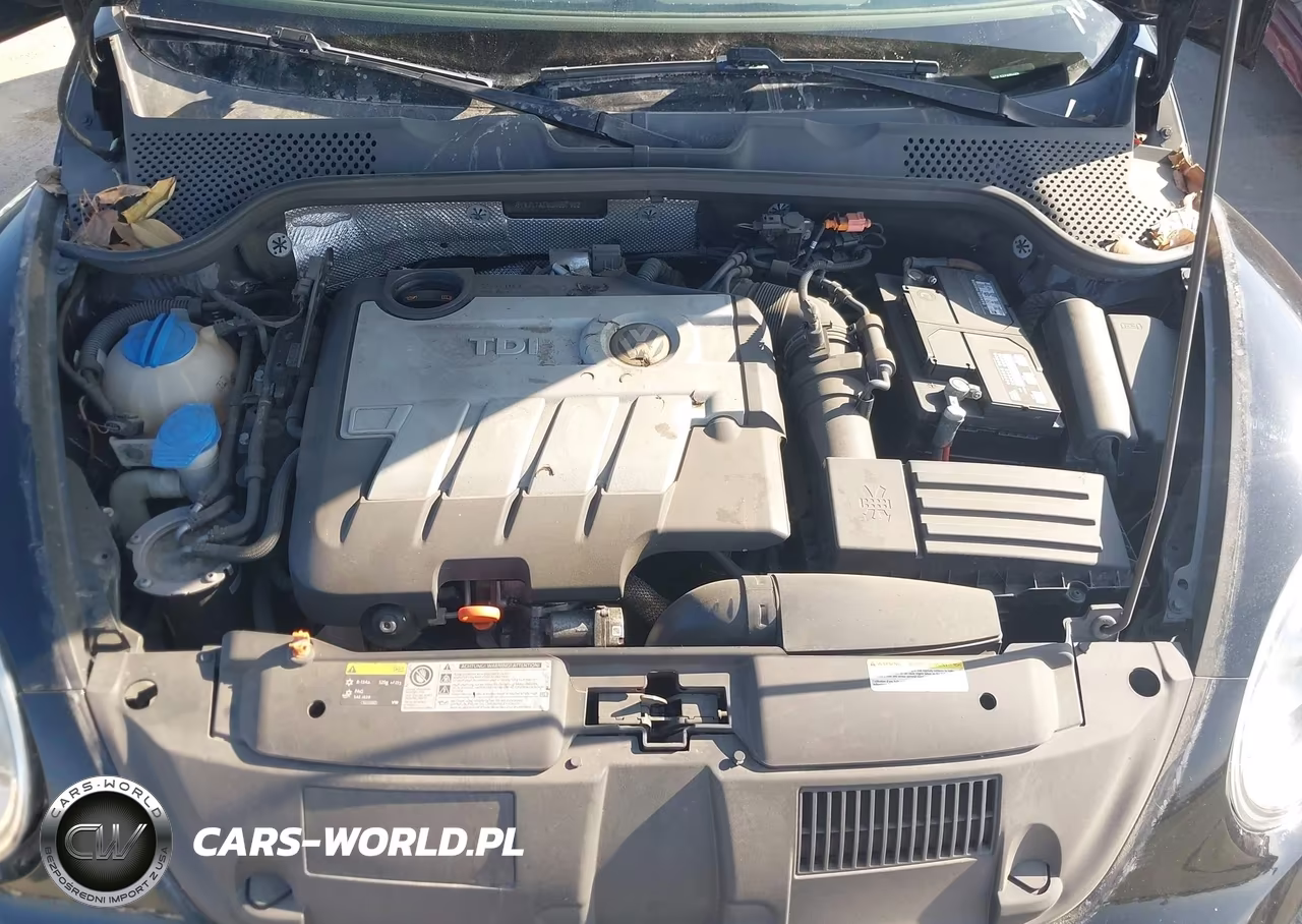 2013 Volkswagen Beetle 2.0L Tdi VIN:3VWJL7AT9DM657182 - 10