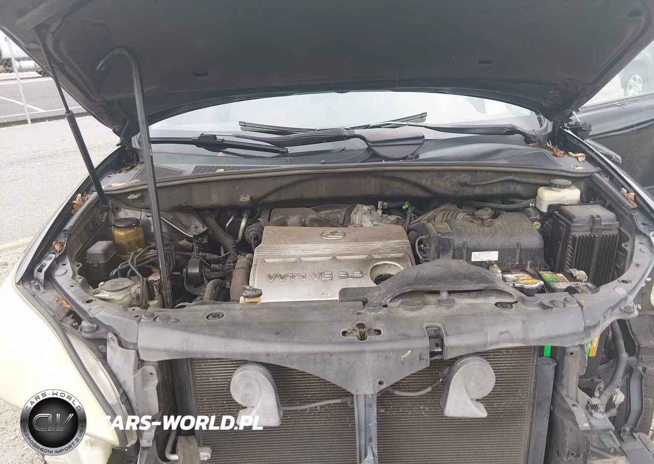 2006 Lexus Rx 330 VIN:2T2GA31U66C047302 - 10