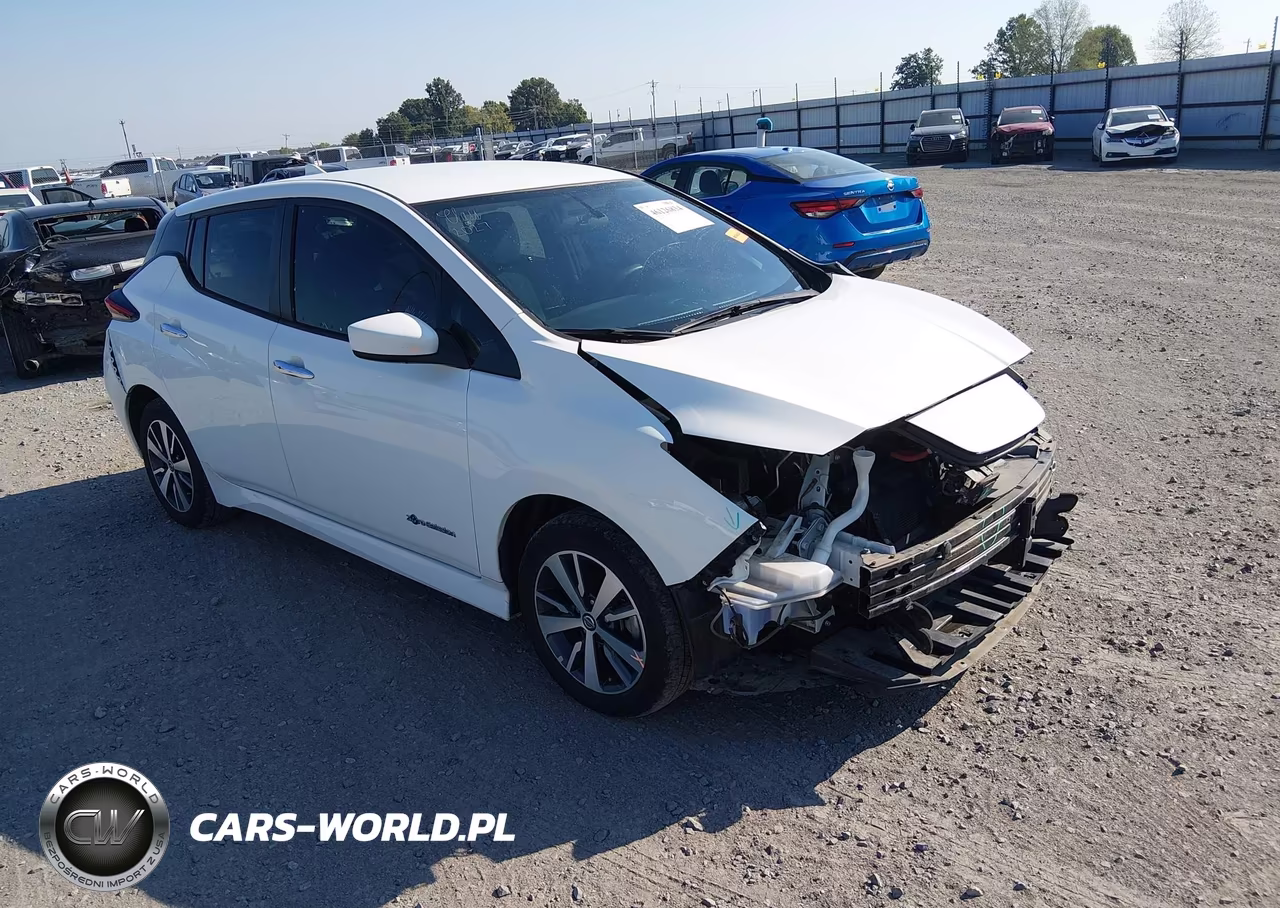 2019 Nissan Leaf S Plus VIN:1N4BZ1CPXKC316686 - 1