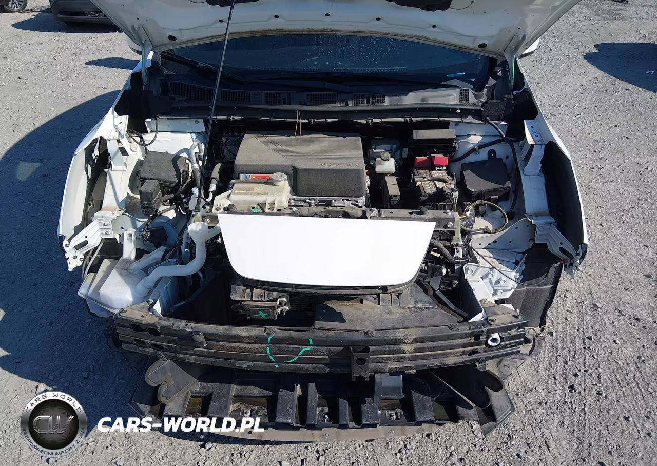 2019 Nissan Leaf S Plus VIN:1N4BZ1CPXKC316686 - 10