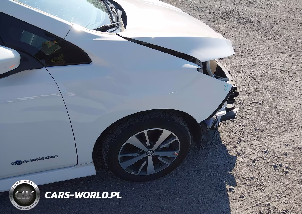 2019 Nissan Leaf S Plus VIN:1N4BZ1CPXKC316686 - 16