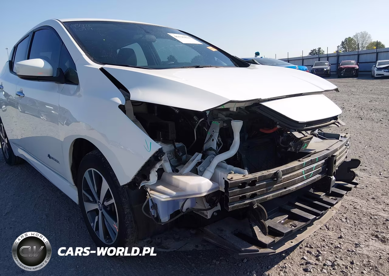 2019 Nissan Leaf S Plus VIN:1N4BZ1CPXKC316686 - 17