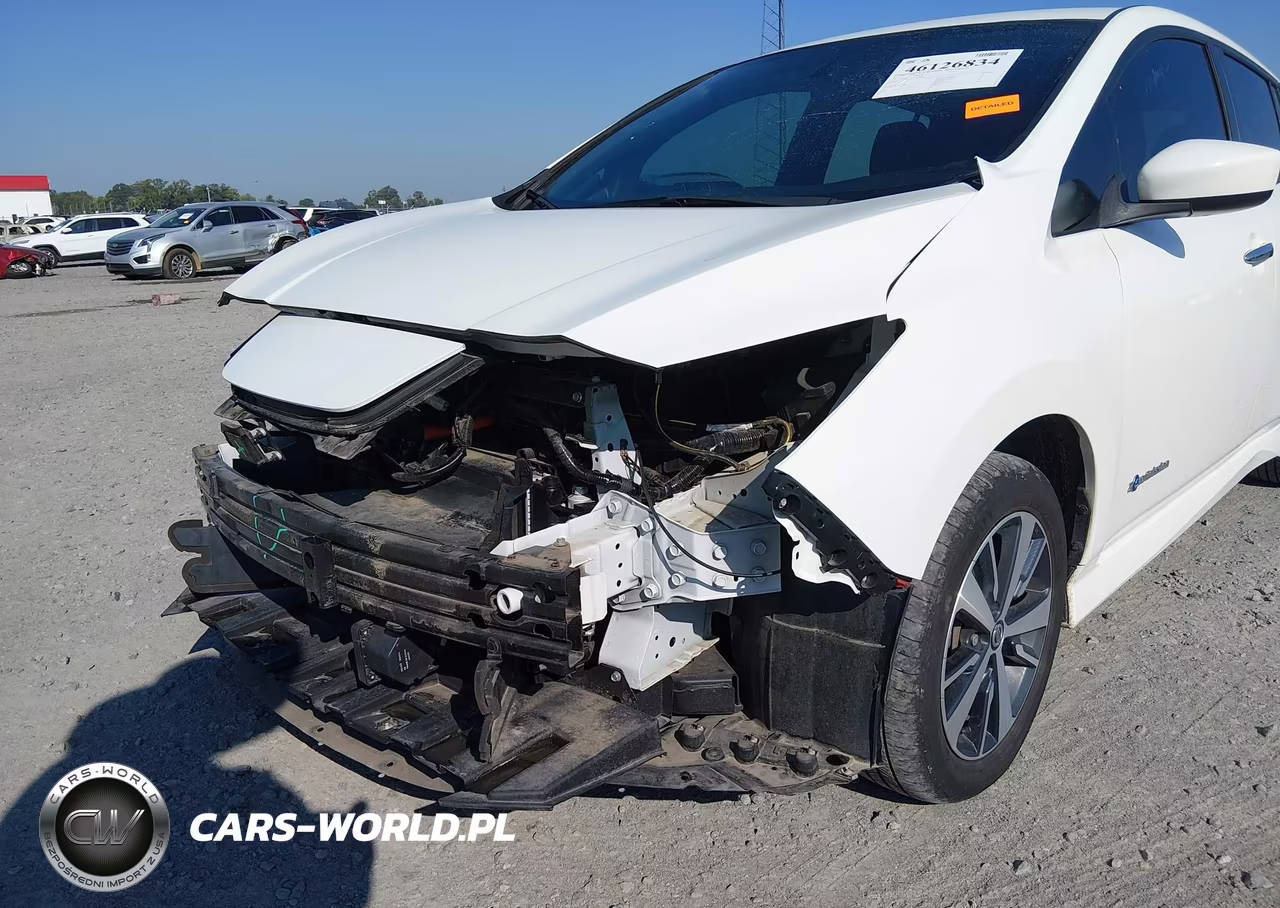 2019 Nissan Leaf S Plus VIN:1N4BZ1CPXKC316686 - 18