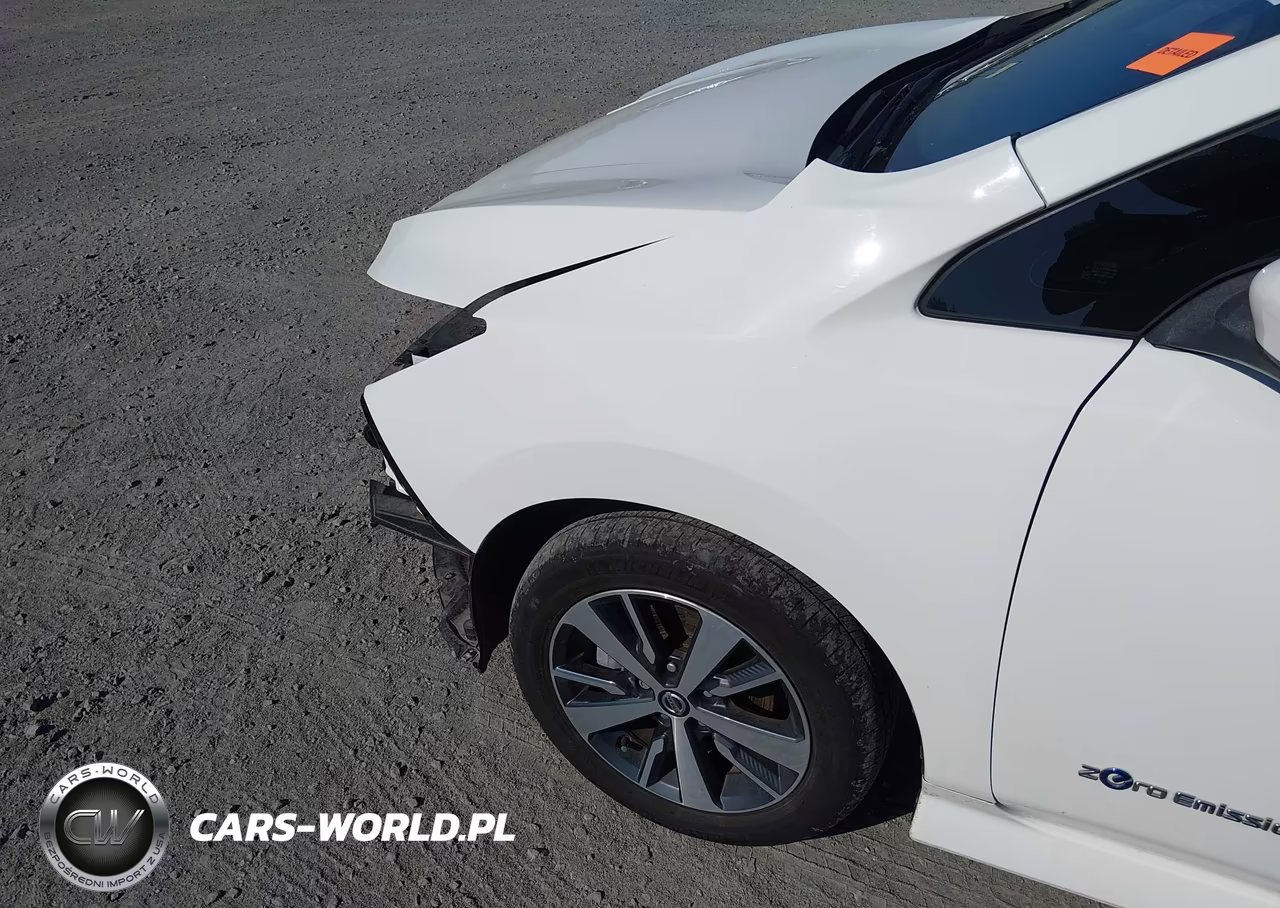 2019 Nissan Leaf S Plus VIN:1N4BZ1CPXKC316686 - 19