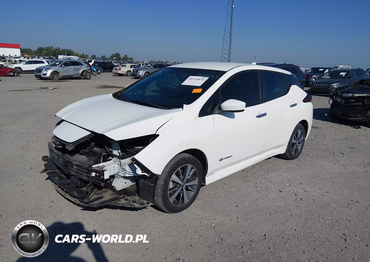 2019 Nissan Leaf S Plus VIN:1N4BZ1CPXKC316686 - 2