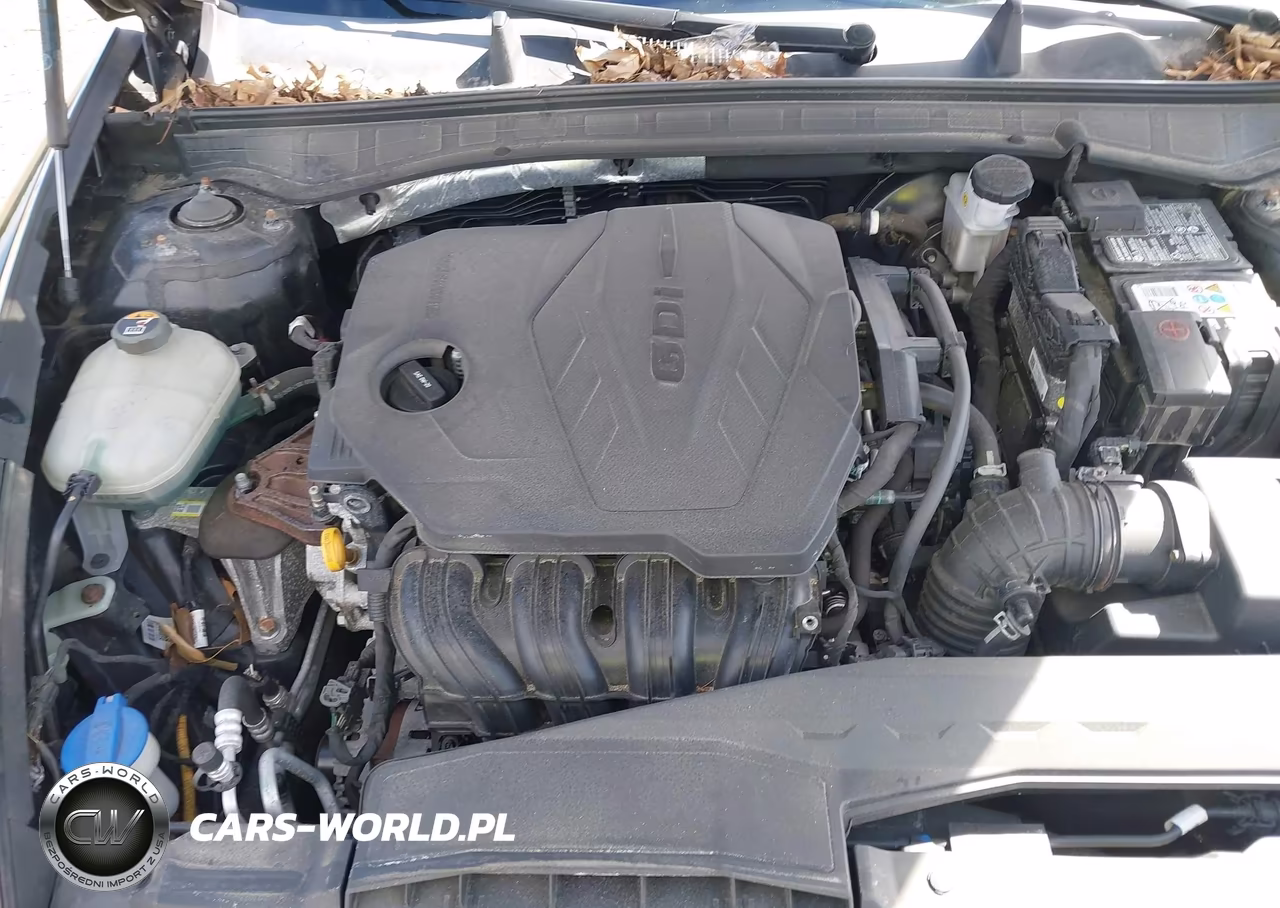 2020 Hyundai Sonata Sel VIN:5NPEL4JA9LH001974 - 10
