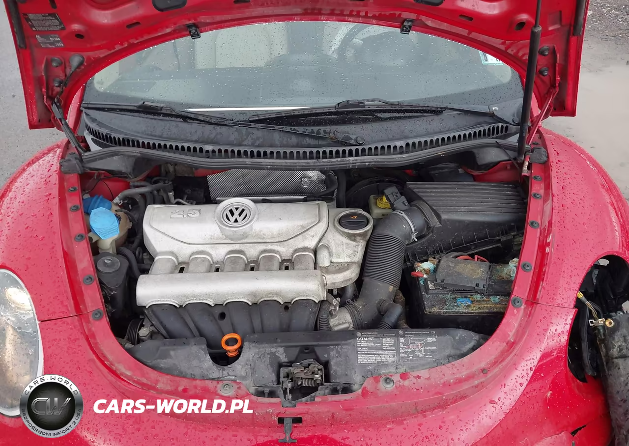2006 Volkswagen New Beetle 2.5 VIN:3VWRF31YX6M313314 - 10