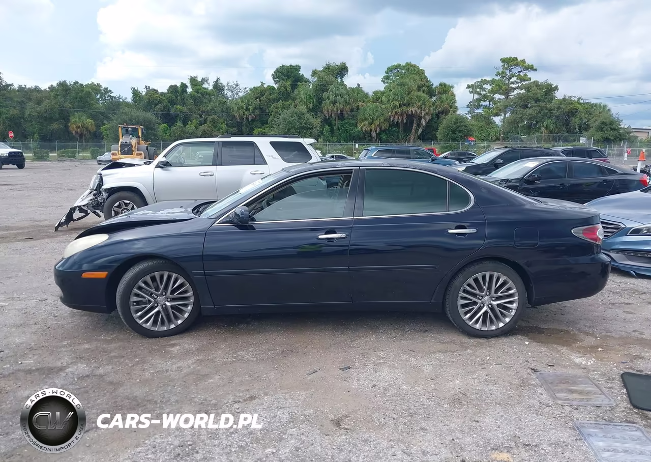 2004 Lexus Es 330 VIN:JTHBA30G345024448 - 14