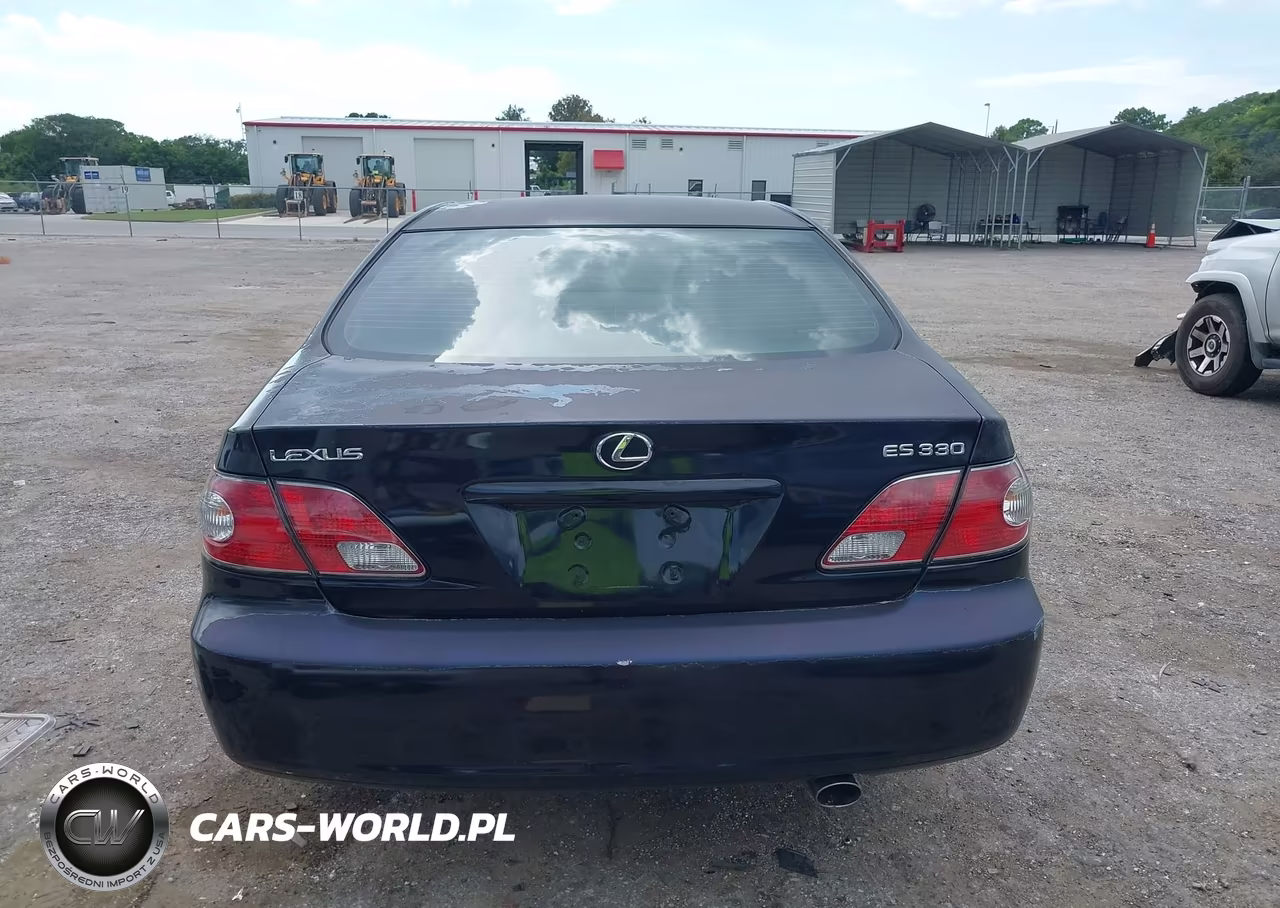 2004 Lexus Es 330 VIN:JTHBA30G345024448 - 16