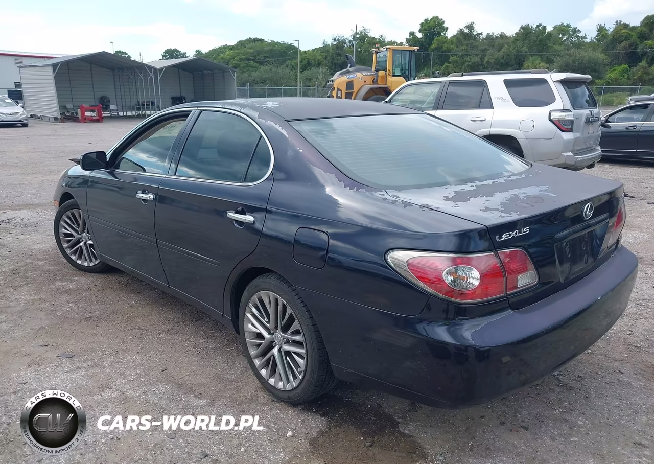 2004 Lexus Es 330 VIN:JTHBA30G345024448 - 3