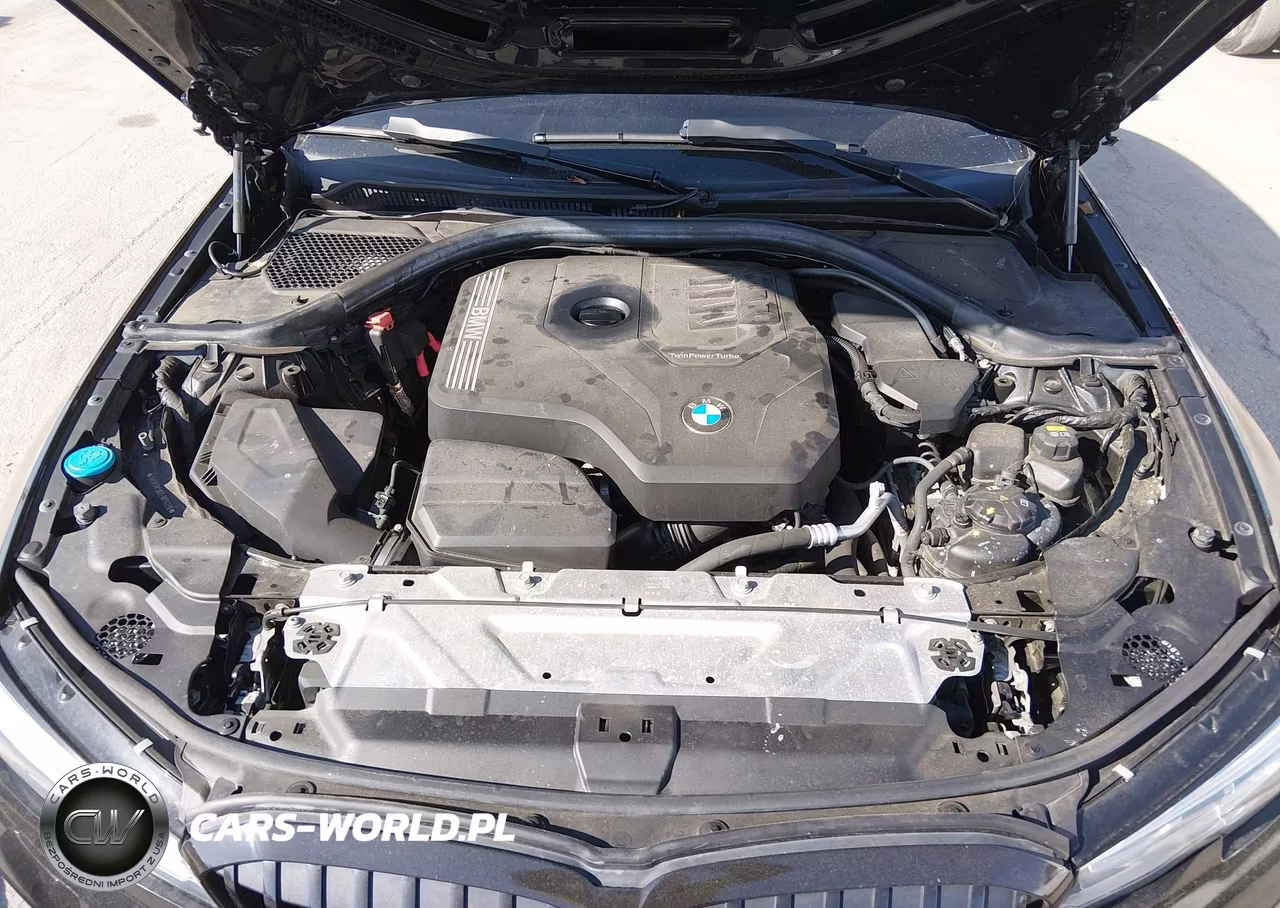 2020 BMW 330I VIN:3MW5R1J02L8B16226 - 10