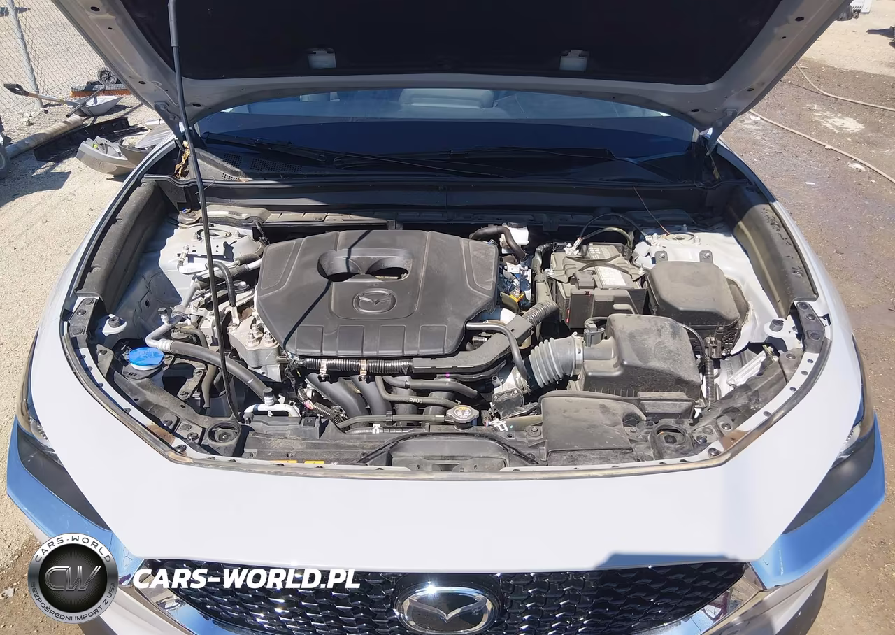 2025 Mazda Cx-30 2.5 S Preferred Package VIN:3MVDMBCM3SM819678 - 10