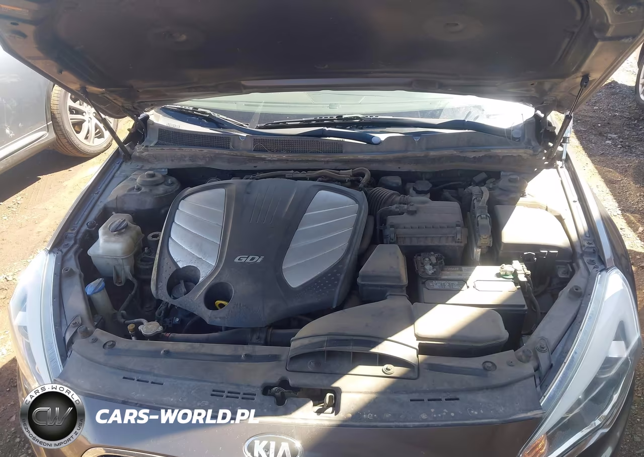 2014 Kia Cadenza Premium VIN:KNALN4D73E5134618 - 10