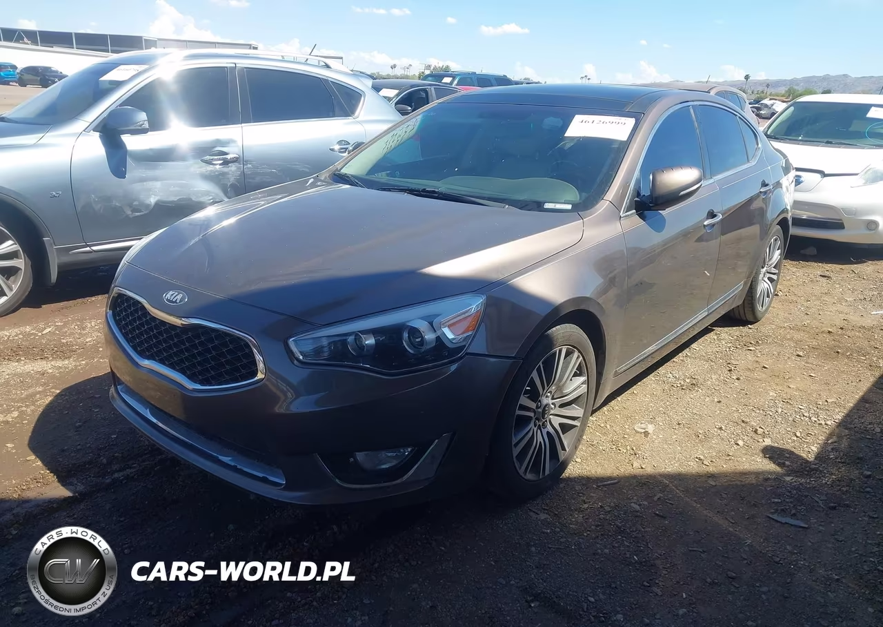 2014 Kia Cadenza Premium VIN:KNALN4D73E5134618 - 2