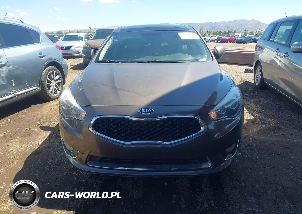 2014 Kia Cadenza Premium VIN:KNALN4D73E5134618 - 6