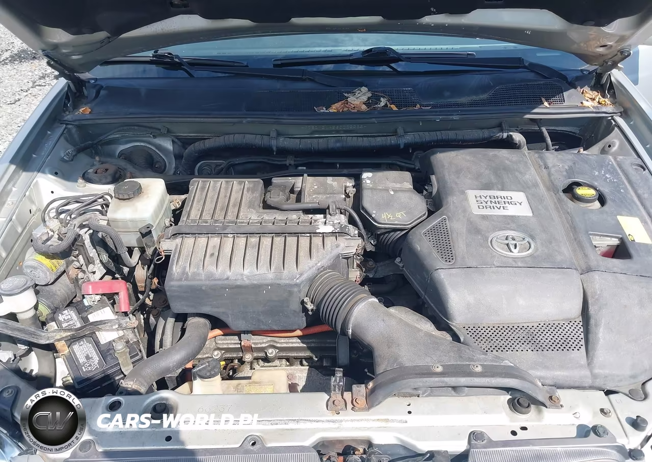 2006 Toyota Highlander Hybrid V6 VIN:JTEDW21A260002288 - 10
