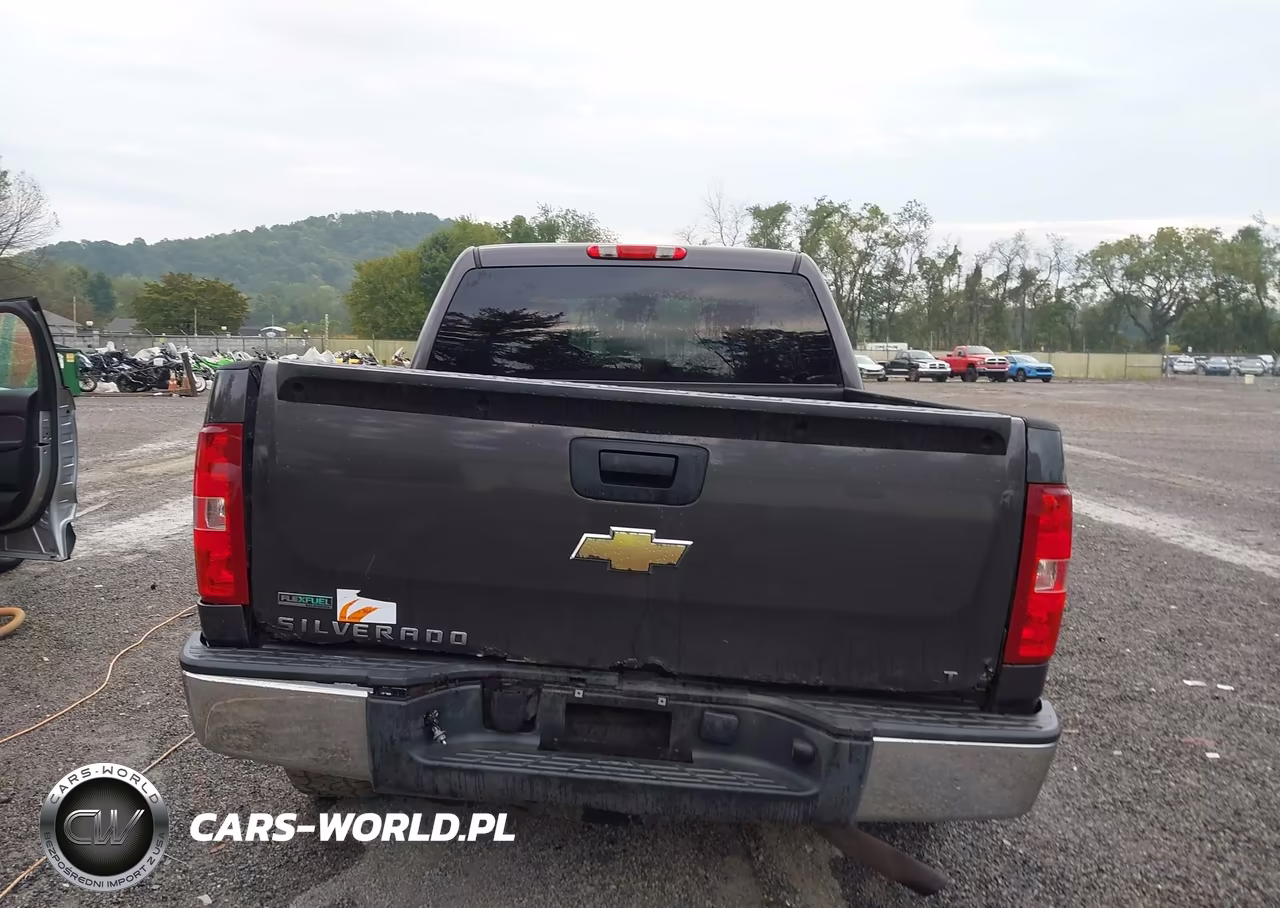 2010 Chevrolet Silverado 1500 Lt VIN:3GCRKSE39AG275931 - 16