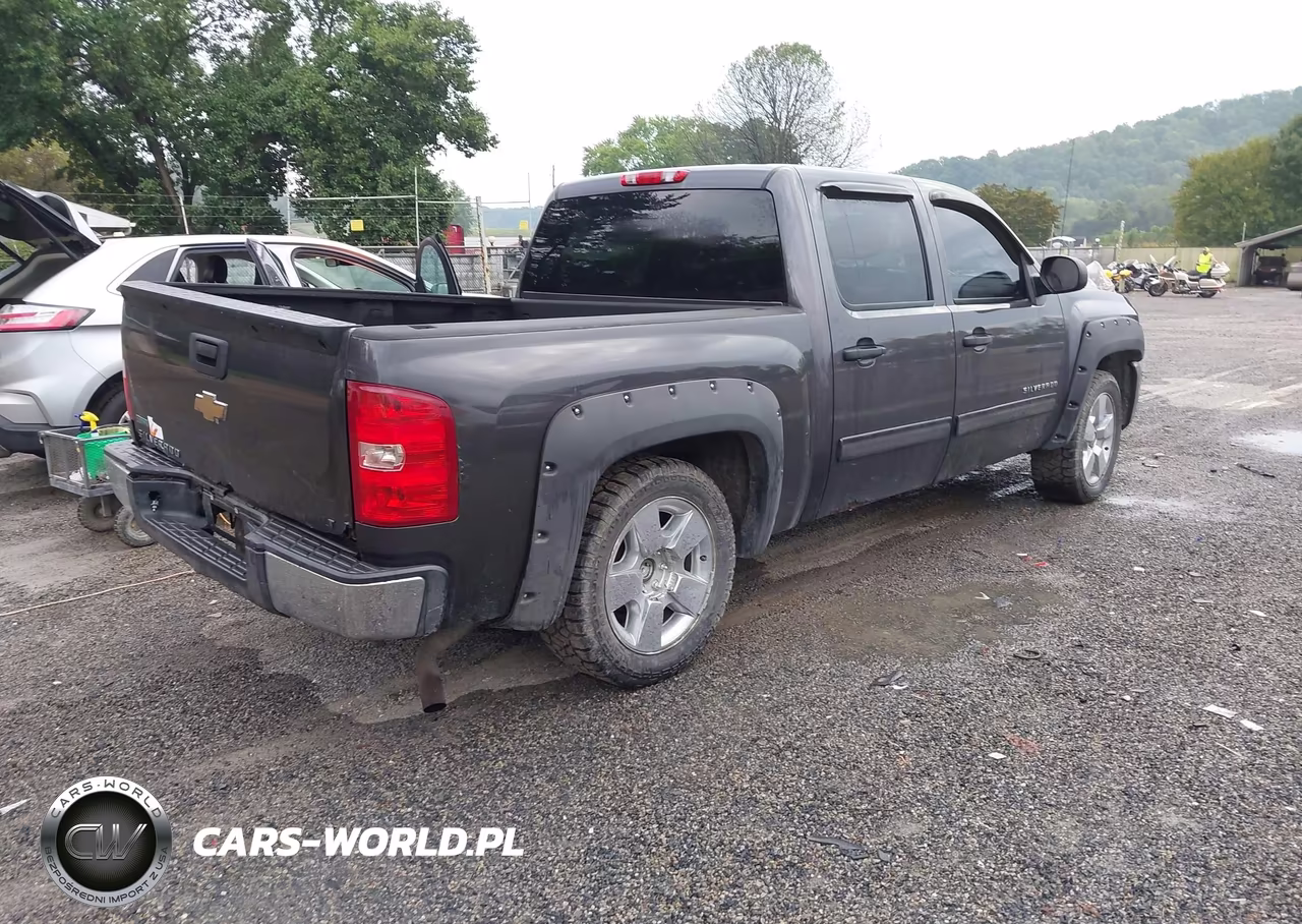 2010 Chevrolet Silverado 1500 Lt VIN:3GCRKSE39AG275931 - 4