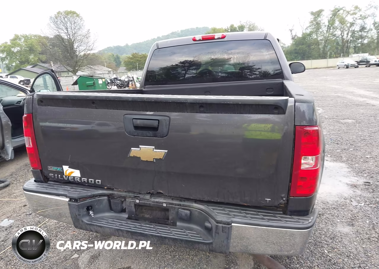 2010 Chevrolet Silverado 1500 Lt VIN:3GCRKSE39AG275931 - 6