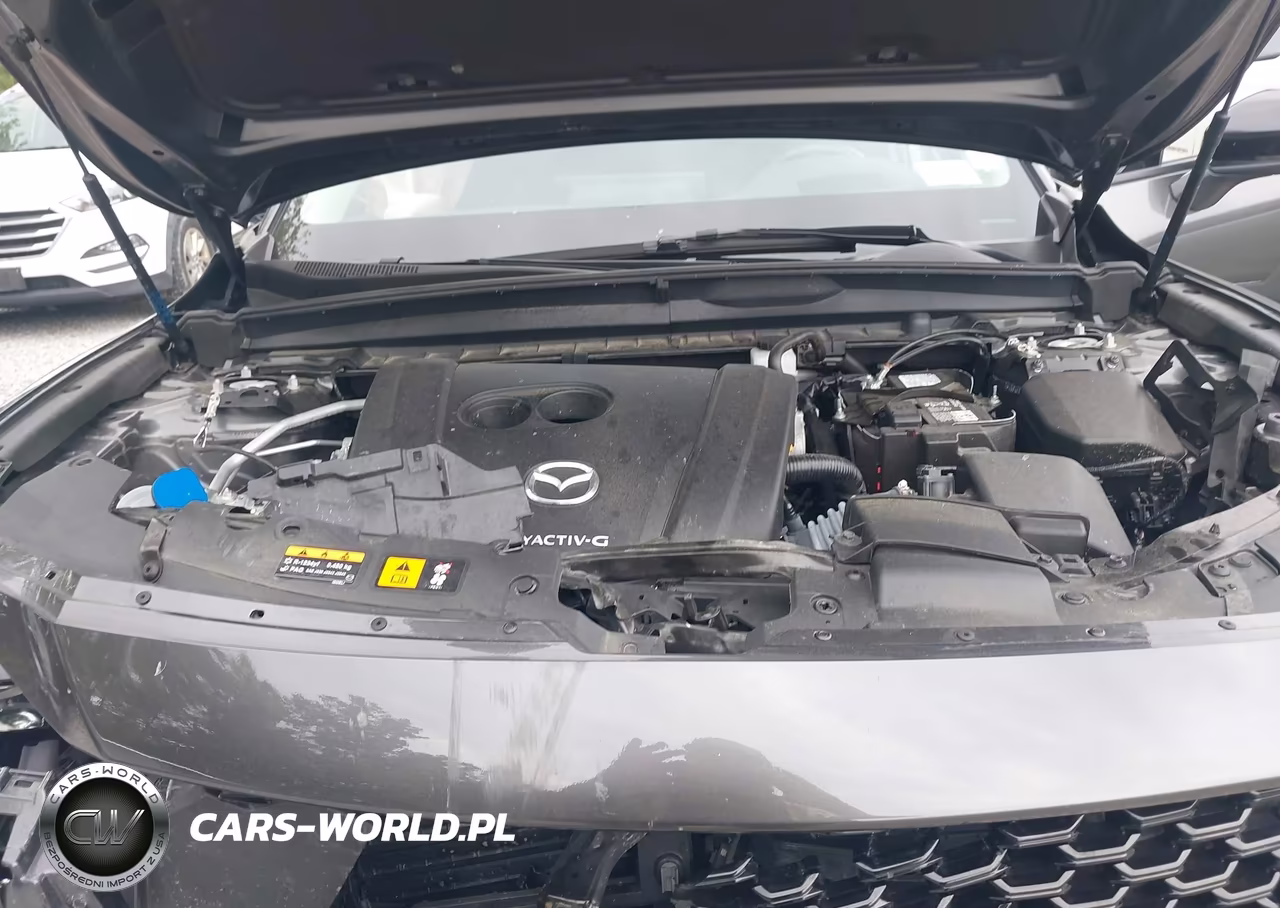 2023 Mazda Cx-50 2.5 S Premium Plus VIN:7MMVABEM4PN147543 - 10