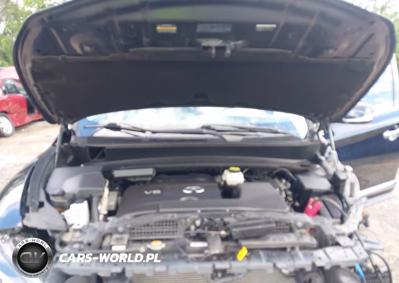 2019 Infiniti Qx60 Pure VIN:5N1DL0MN4KC568733 - 10