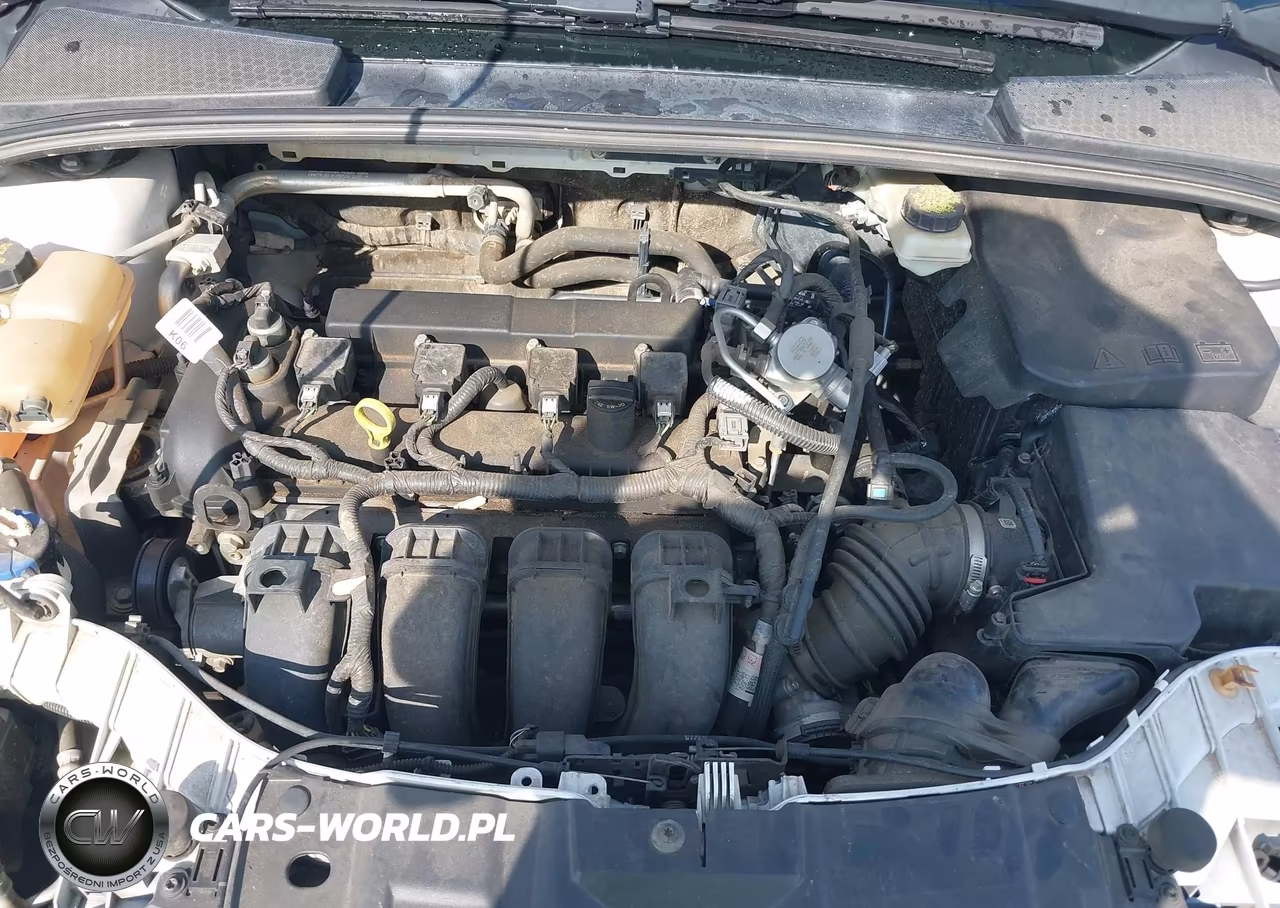 2017 Ford Focus Sel VIN:1FADP3H20HL256367 - 10