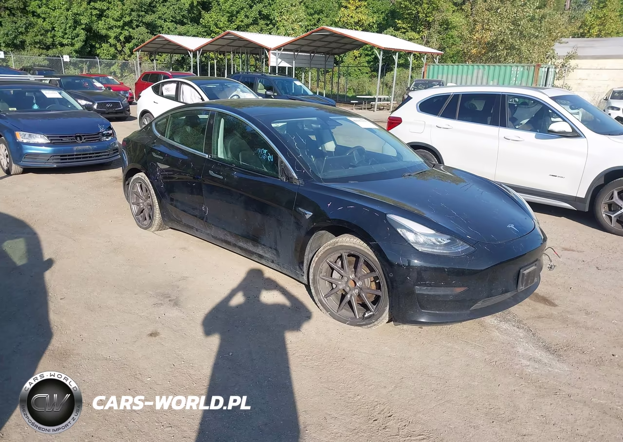 2020 Tesla Model 3 Standard Range Plus Rear-Wheel Drive-Standard Range Rear-Wheel Drive VIN:5YJ3E1EA4LF657427 - 1