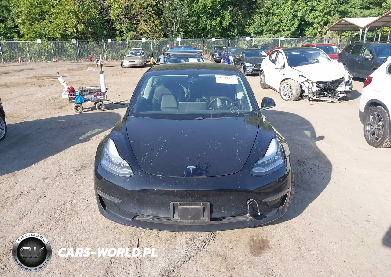 2020 Tesla Model 3 Standard Range Plus Rear-Wheel Drive-Standard Range Rear-Wheel Drive VIN:5YJ3E1EA4LF657427 - 13