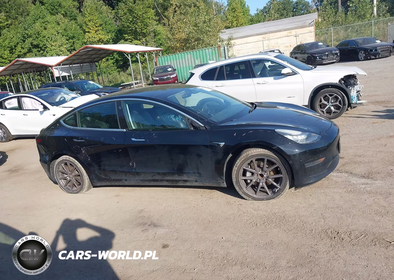 2020 Tesla Model 3 Standard Range Plus Rear-Wheel Drive-Standard Range Rear-Wheel Drive VIN:5YJ3E1EA4LF657427 - 14