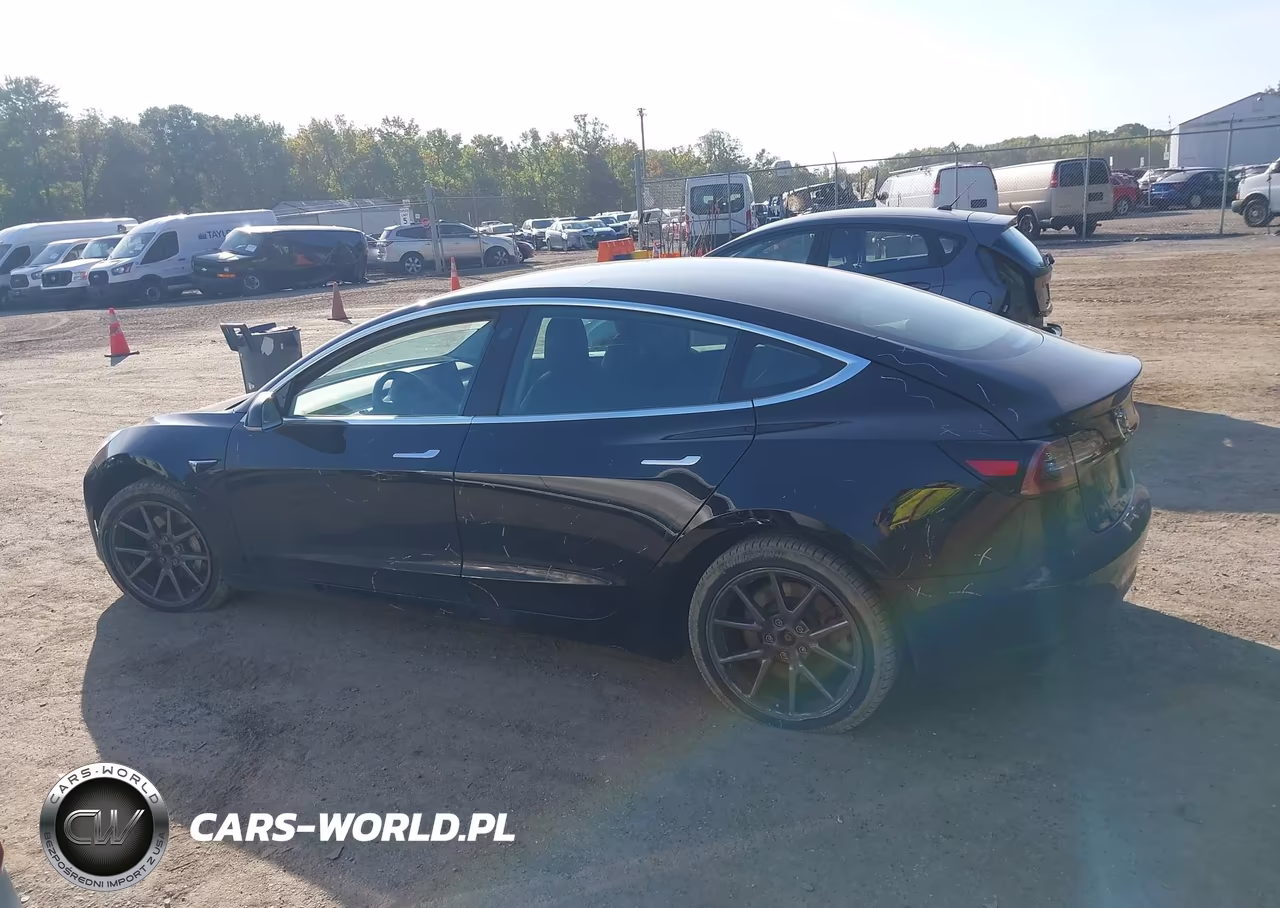2020 Tesla Model 3 Standard Range Plus Rear-Wheel Drive-Standard Range Rear-Wheel Drive VIN:5YJ3E1EA4LF657427 - 15