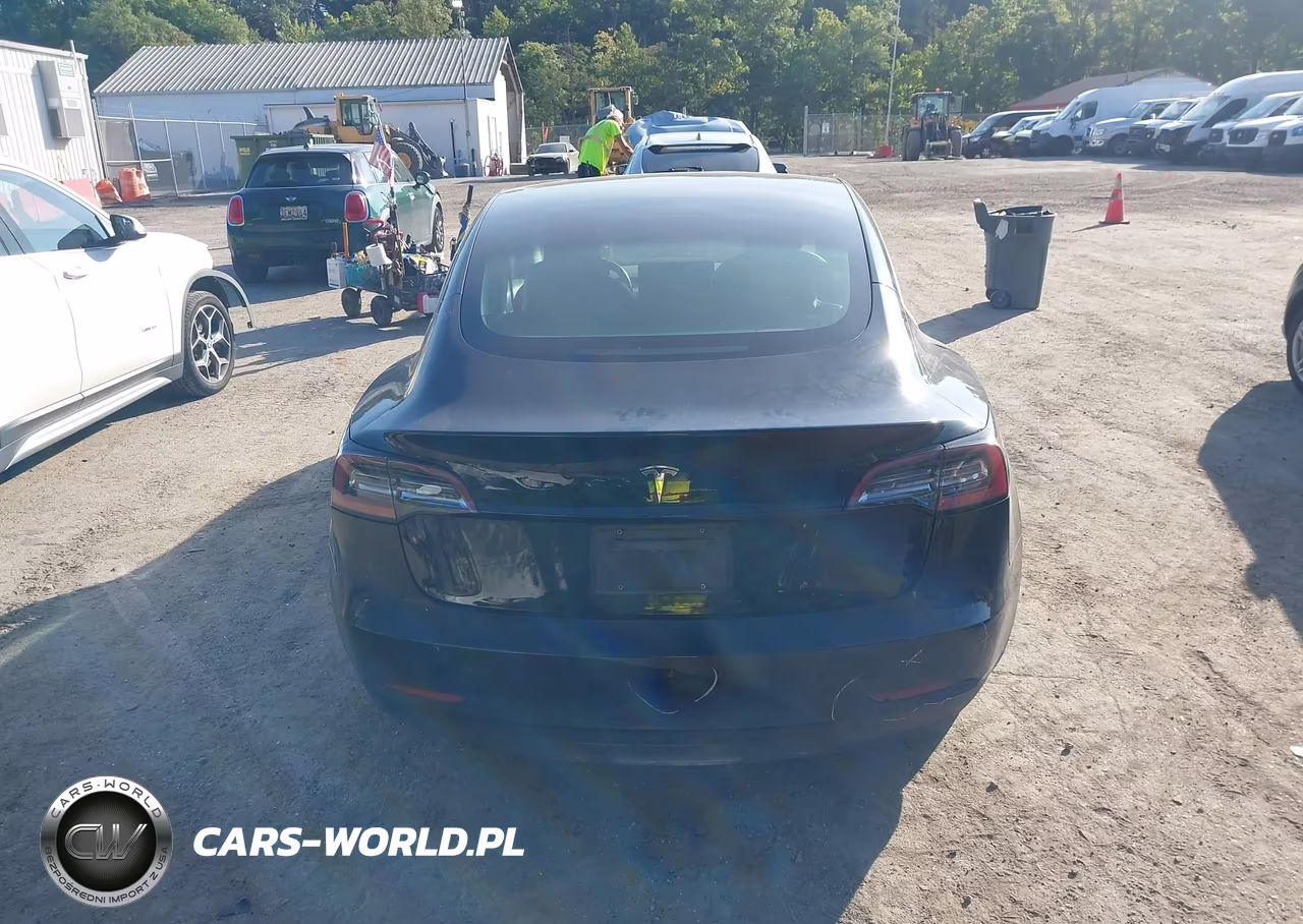 2020 Tesla Model 3 Standard Range Plus Rear-Wheel Drive-Standard Range Rear-Wheel Drive VIN:5YJ3E1EA4LF657427 - 17