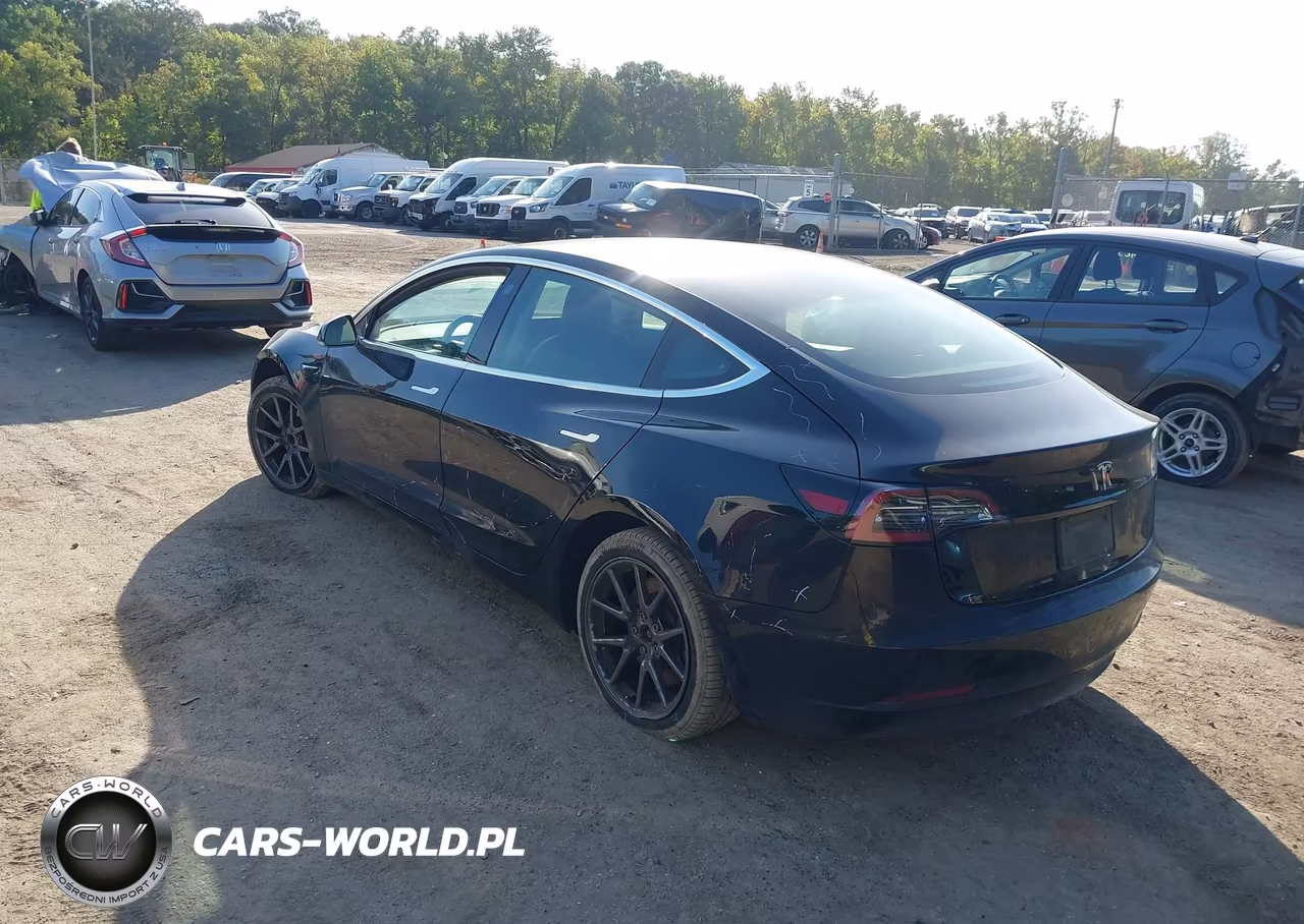 2020 Tesla Model 3 Standard Range Plus Rear-Wheel Drive-Standard Range Rear-Wheel Drive VIN:5YJ3E1EA4LF657427 - 3