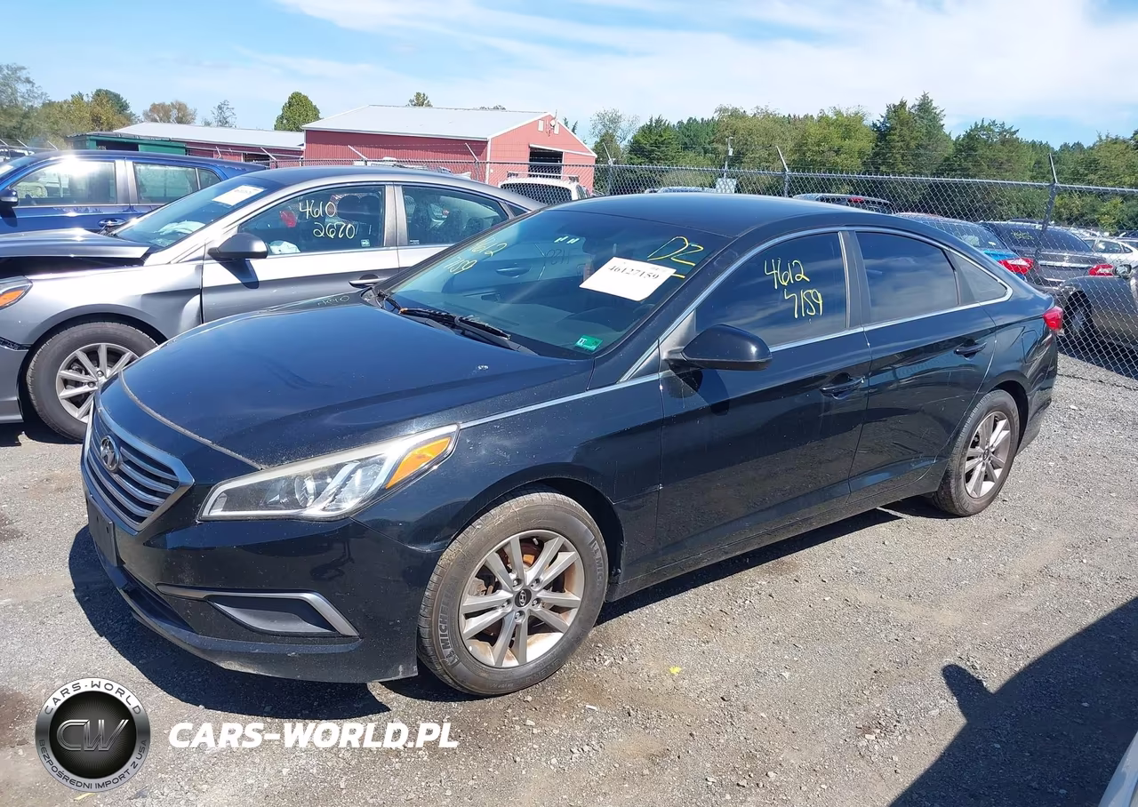 2016 Hyundai Sonata VIN:5NPE24AF2GH387688 - 2