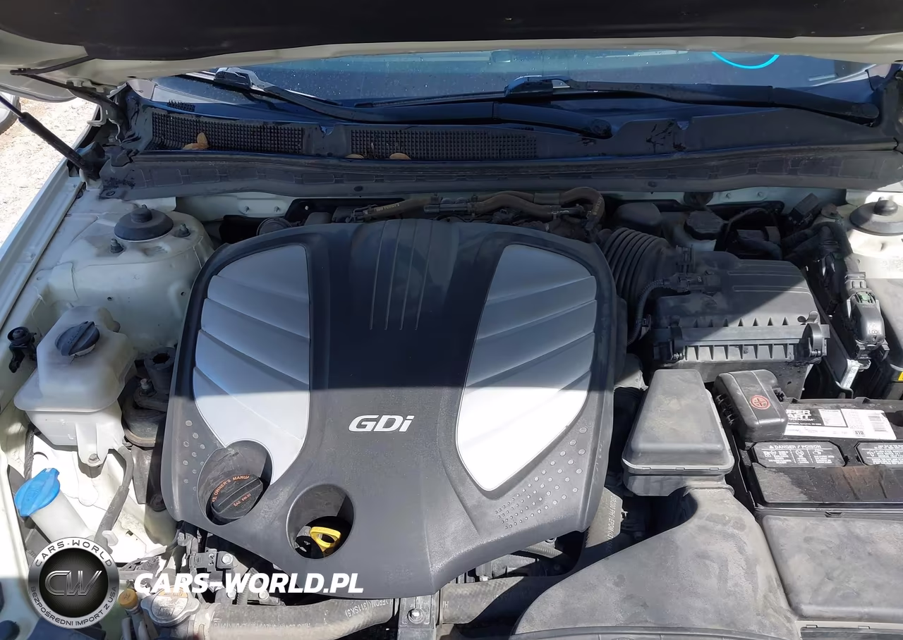2015 Kia Cadenza Premium VIN:KNALN4D7XF5195823 - 10