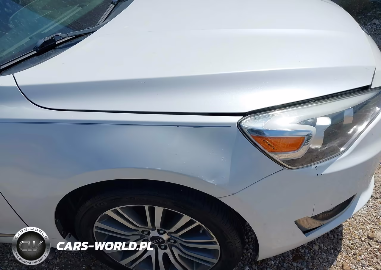 2015 Kia Cadenza Premium VIN:KNALN4D7XF5195823 - 6