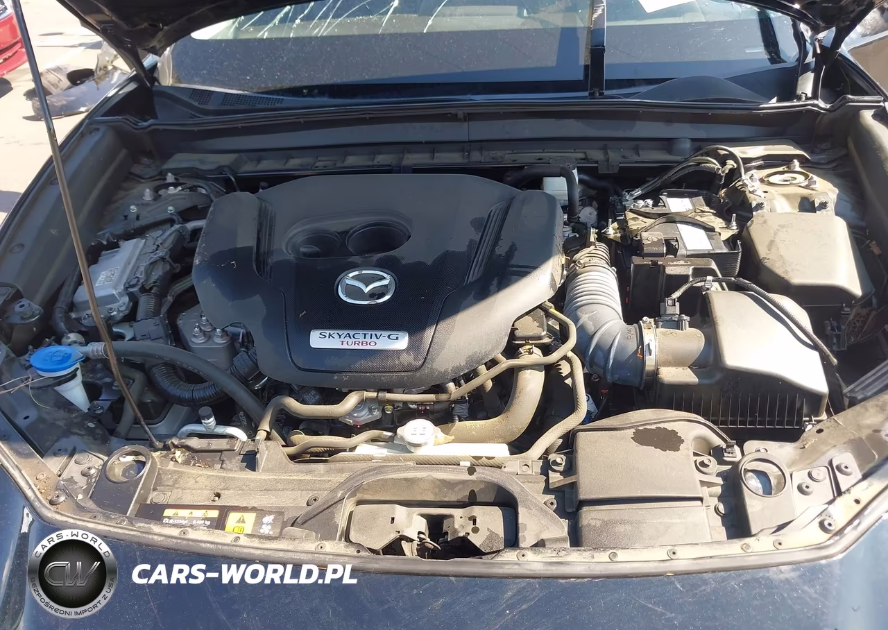 2023 Mazda Cx-30 2.5 Turbo Premium VIN:3MVDMBDY7PM554918 - 10