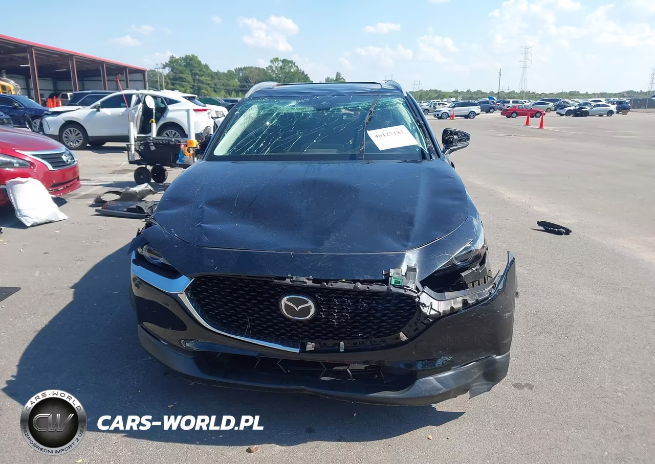 2023 Mazda Cx-30 2.5 Turbo Premium VIN:3MVDMBDY7PM554918 - 12