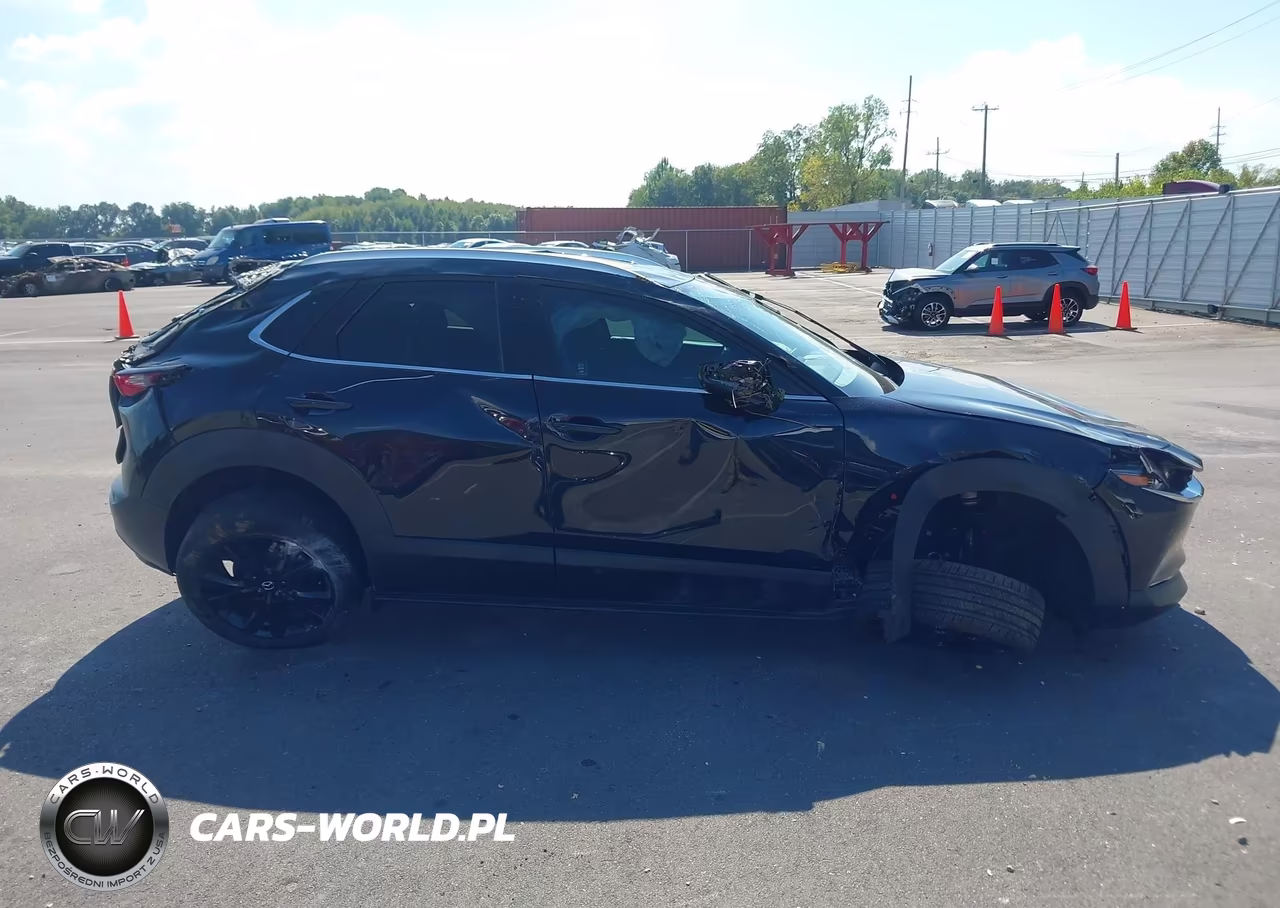2023 Mazda Cx-30 2.5 Turbo Premium VIN:3MVDMBDY7PM554918 - 13