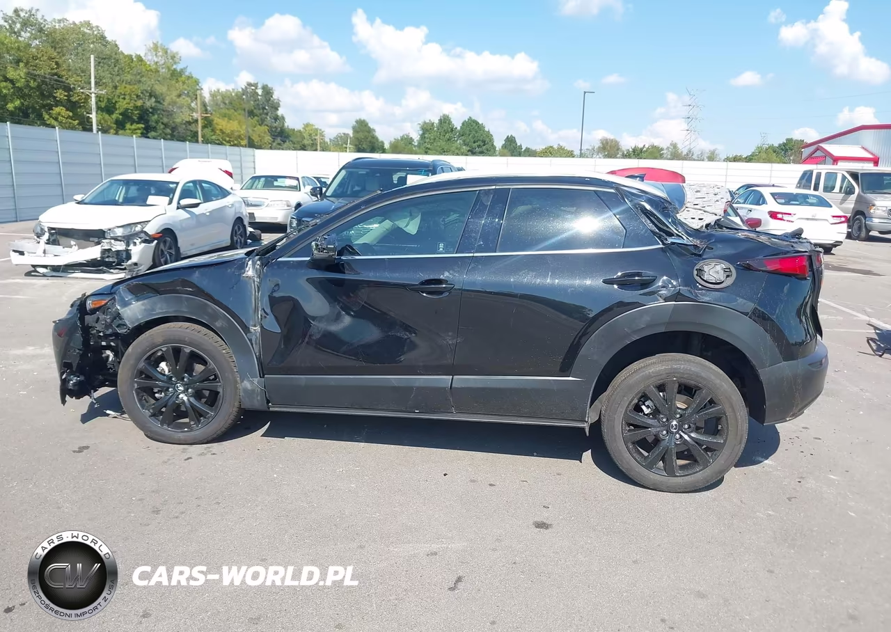 2023 Mazda Cx-30 2.5 Turbo Premium VIN:3MVDMBDY7PM554918 - 14